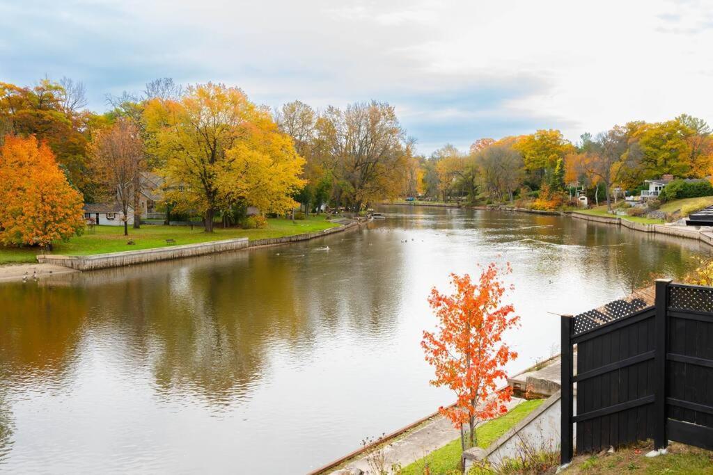 Riverfront Cottage Canoe Included & Playroom Fun Wasaga Beach Luaran gambar